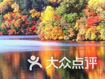 hahabetcom官网星辰大海